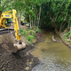 A drunken excavator wets its beak next to a Hawaiian stream.